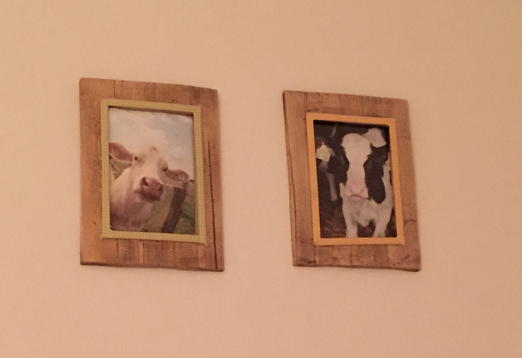 Lehmad - magamistoa seinal !?